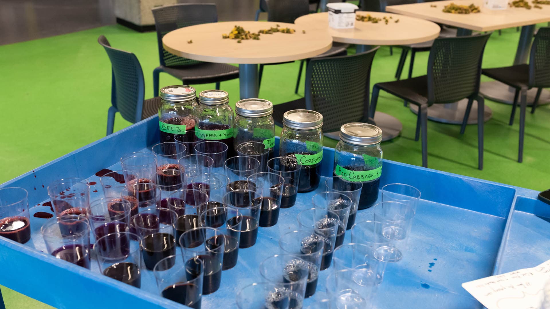 A blue cart filled with various jars and plastic cups is shown. There are several jars labeled "Beets," "Coreopsis," "Red Cabbage," and "Potato" containing colorful liquids. In front of the jars, numerous clear plastic cups filled with dark liquids are arranged, with some spilling over. In the background, there are tables with scattered plant materials, and the flooring is bright green.