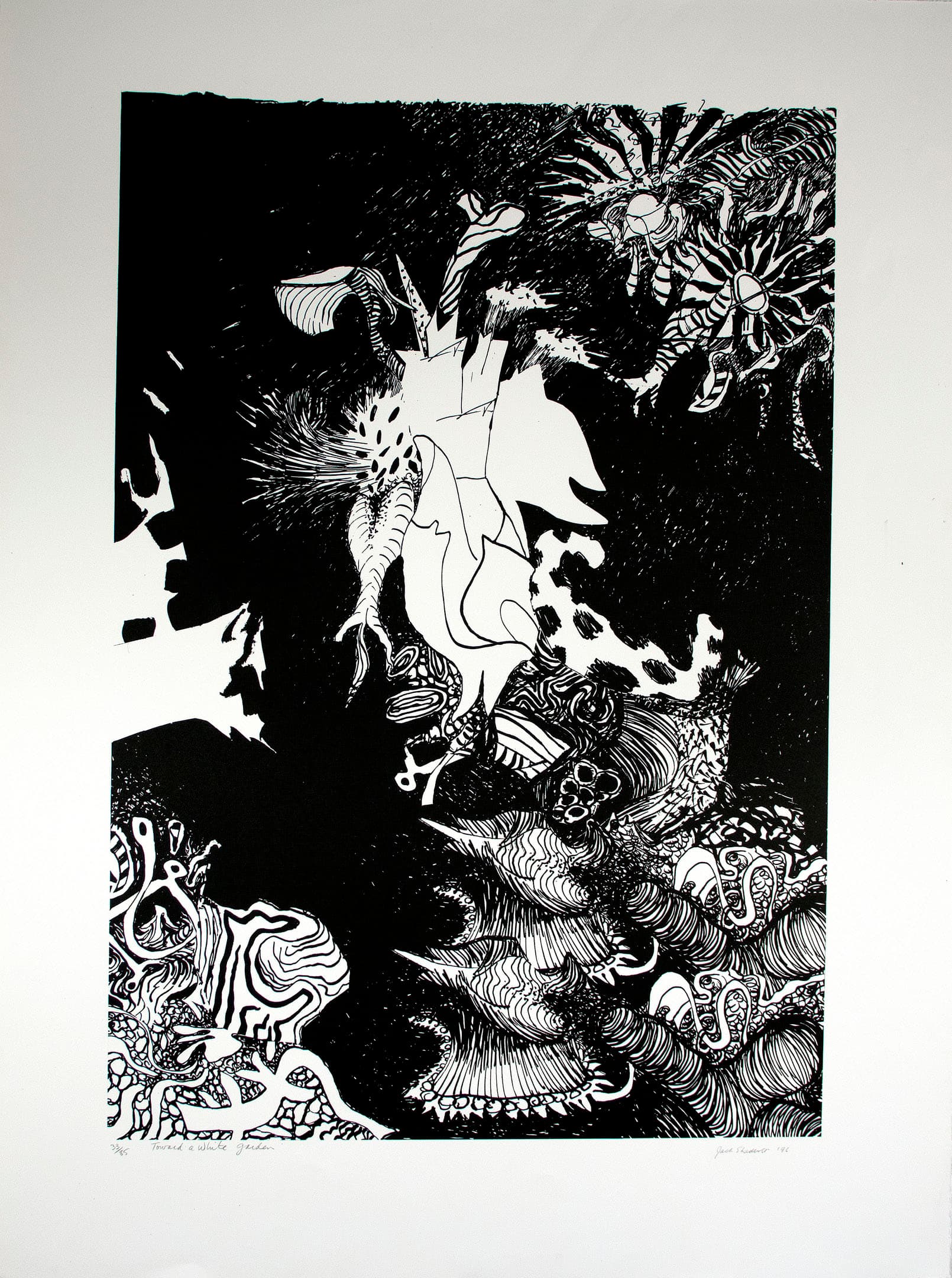 A black-and-white abstract illustration featuring intricate linework and organic shapes. The composition includes various stylized forms resembling plants and creatures, with a mix of sharp and flowing lines throughout. The background is predominantly black, allowing the white details to stand out prominently, creating a dynamic contrast. The bottom of the image displays more elaborate textures and patterns, while the upper part showcases simpler shapes.