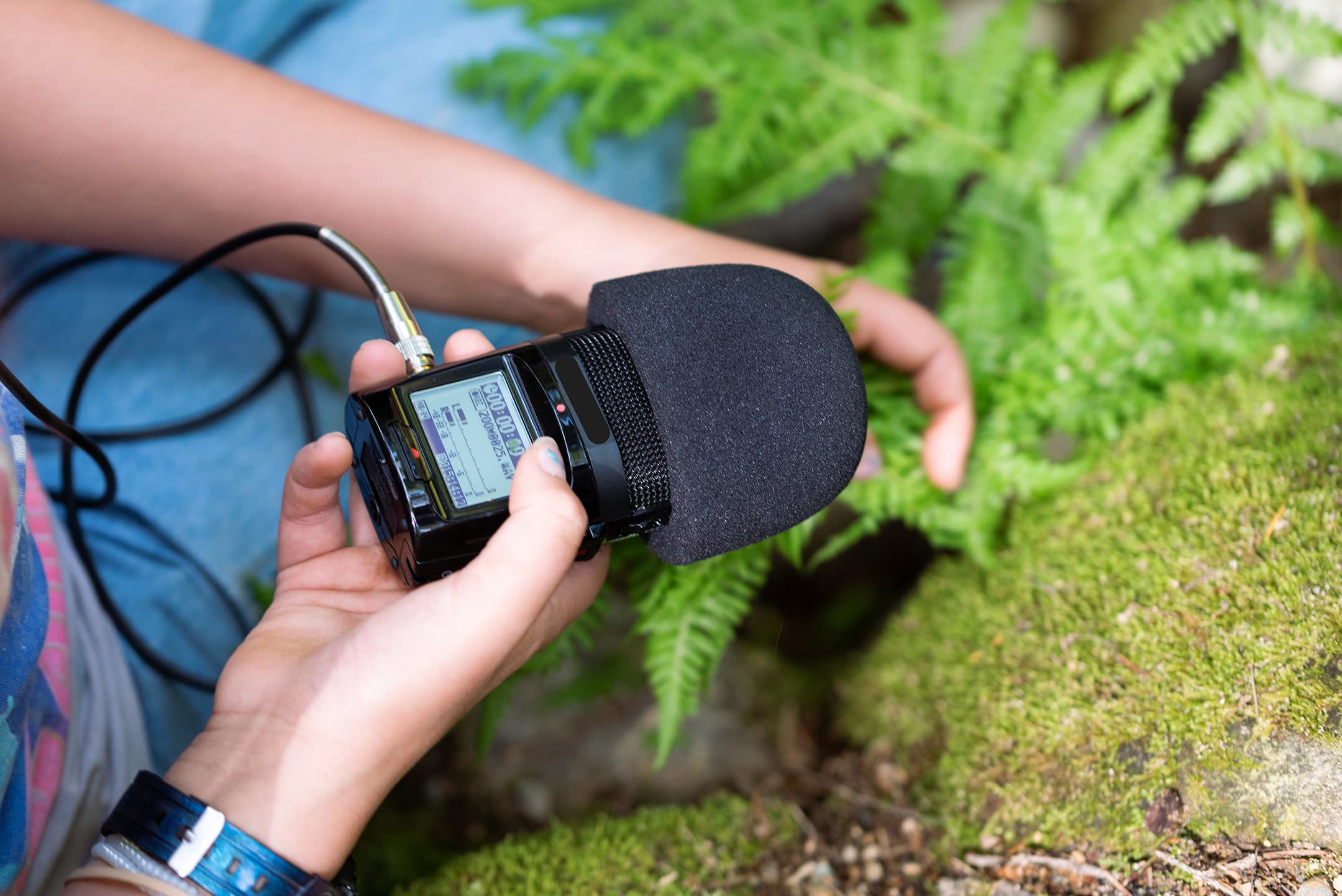 A person is holding a handheld audio recorder with a windscreen, focusing on a fern plant in a natural setting. The background includes moss-covered ground and green foliage. The person's arms and hands are partially visible. 