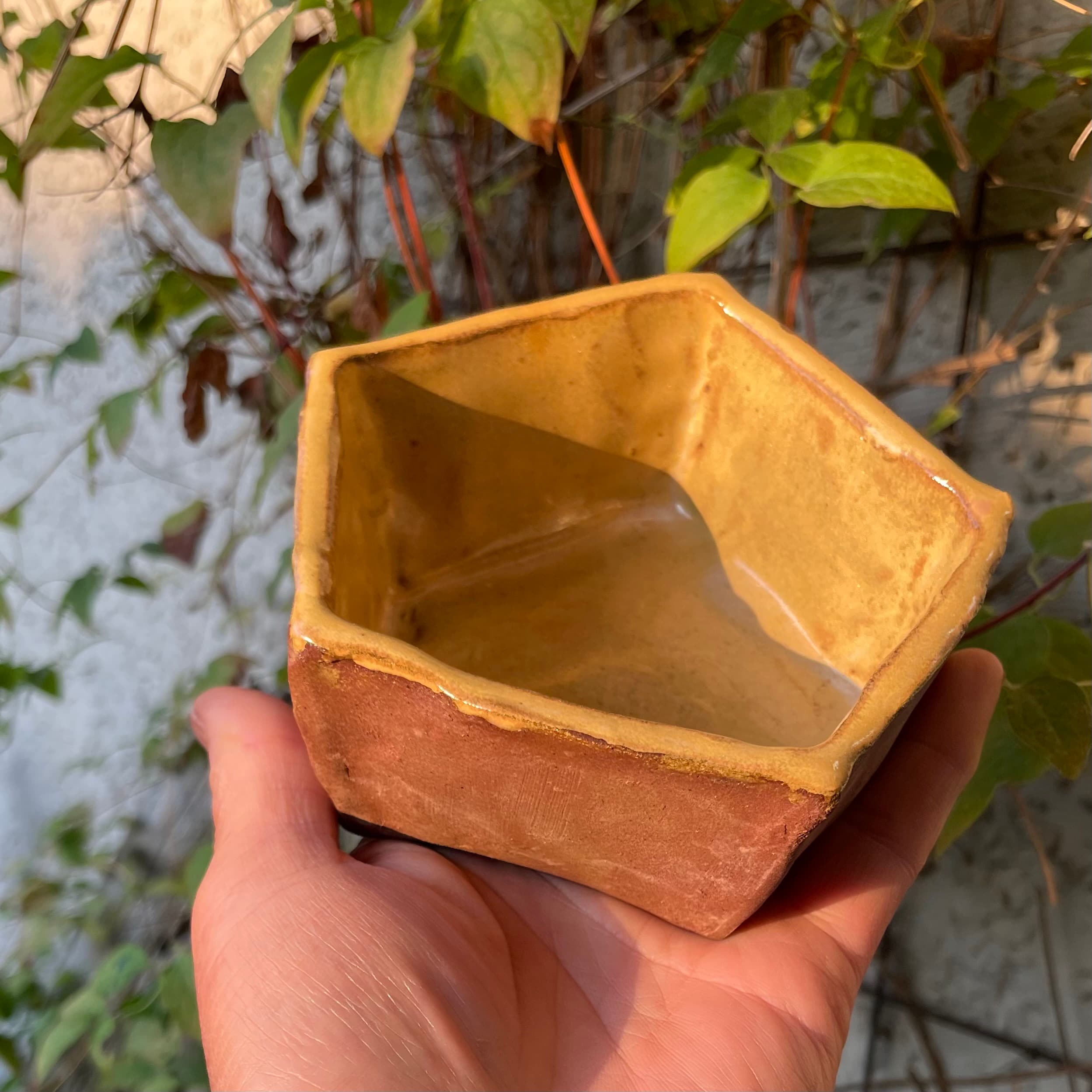 A hand holds a small, hexagonal ceramic bowl with a shiny yellow interior and a reddish-brown exterior. The background features green foliage and a textured wall, indicating an outdoor setting.